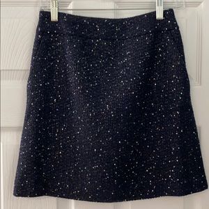 Loft Sequin Skirt
